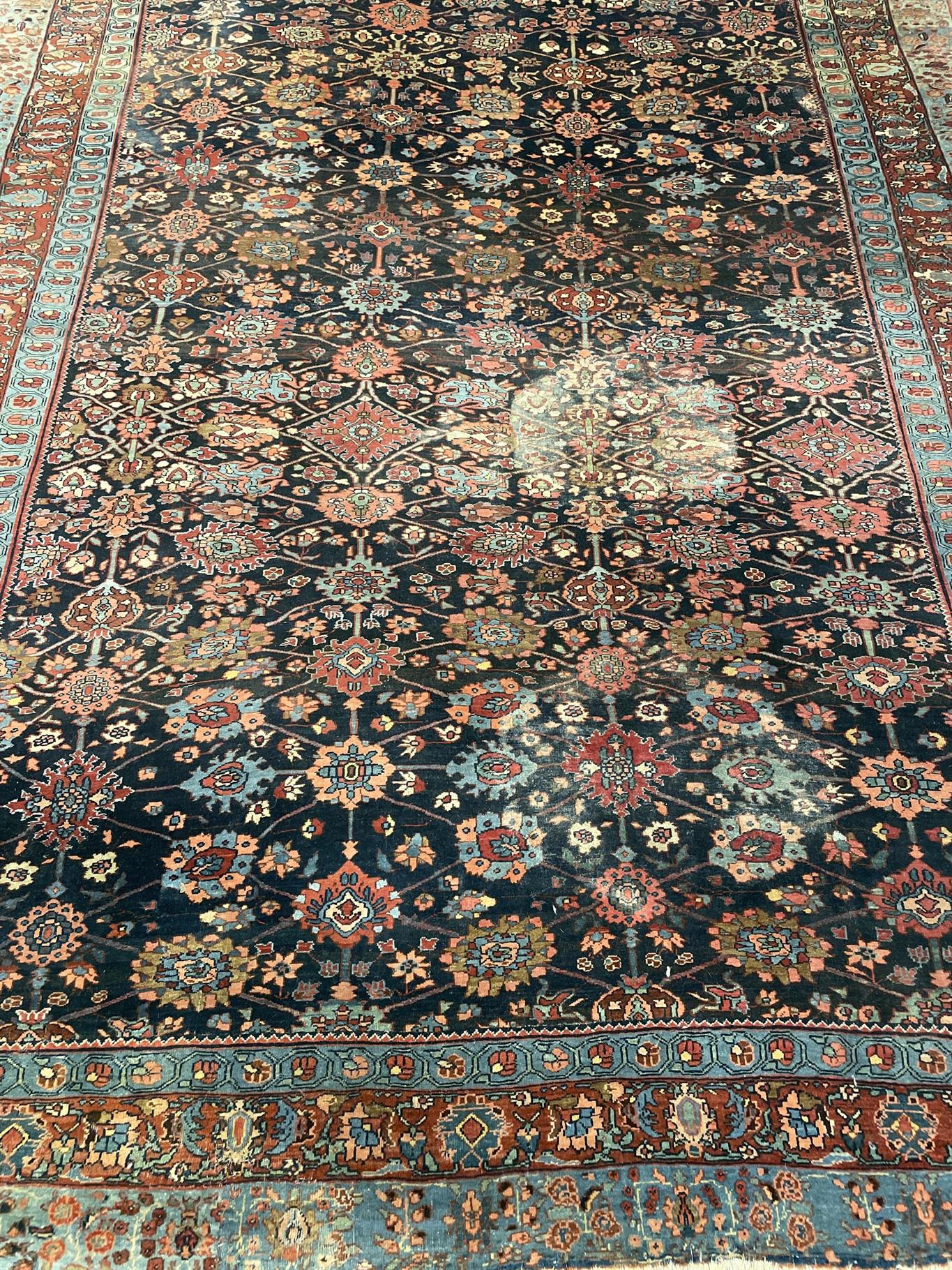 AORug#16233 size. 6' 03" x 11' 00"