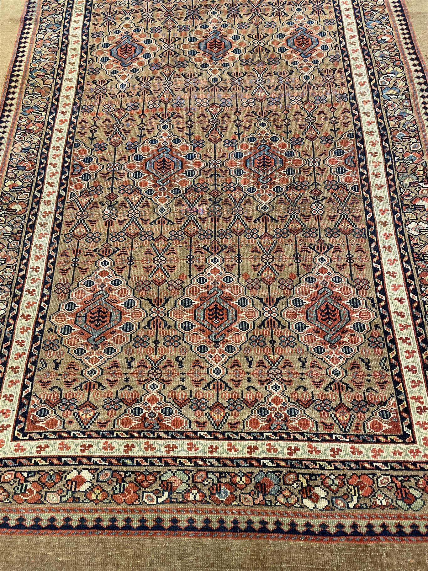 AORug#12760 size. 5' 08" x 17' 10"