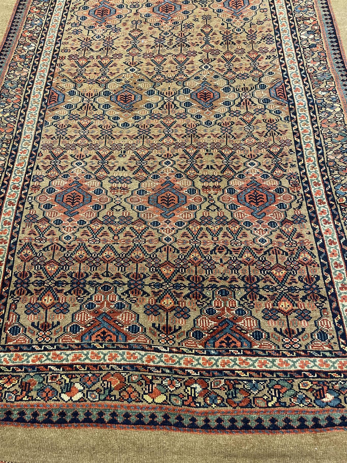 AORug#12760 size. 5' 08" x 17' 10"