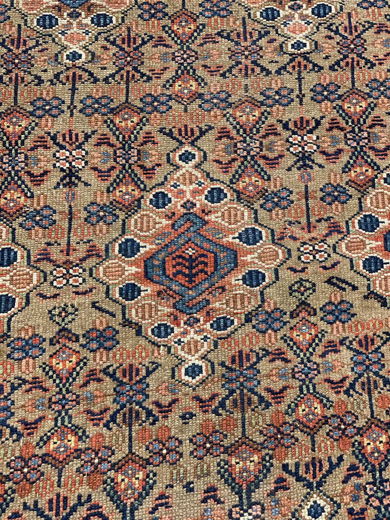 AORug#12760 size. 5' 08" x 17' 10"