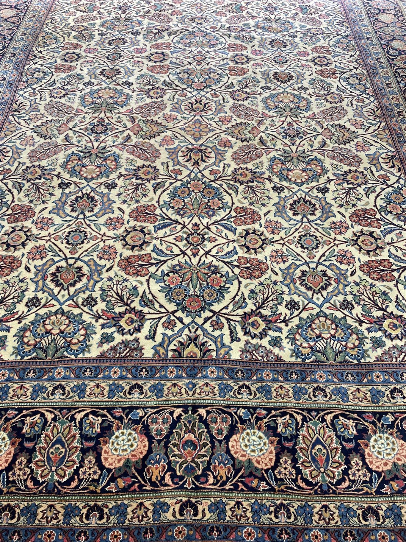 AORug#16491 size. 8' 06" x 11' 09"