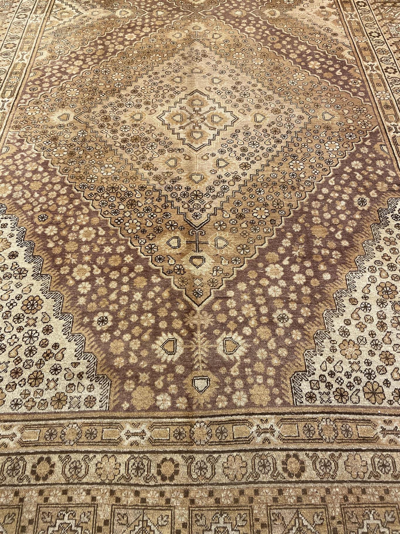 AORug#16531 size. 8' 10" x 18' 00"