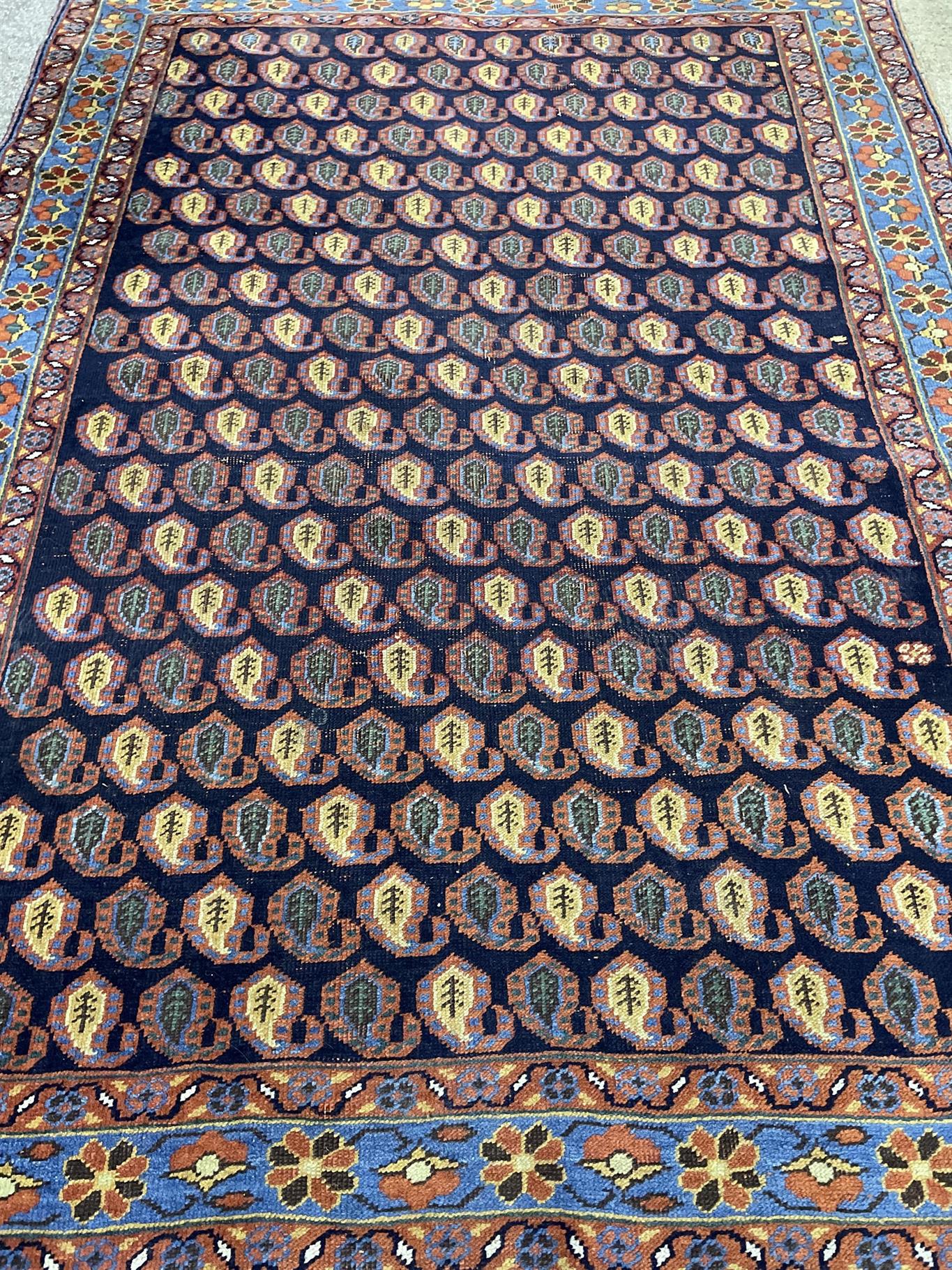AORug#16535 size. 3' 09" x 5' 06"
