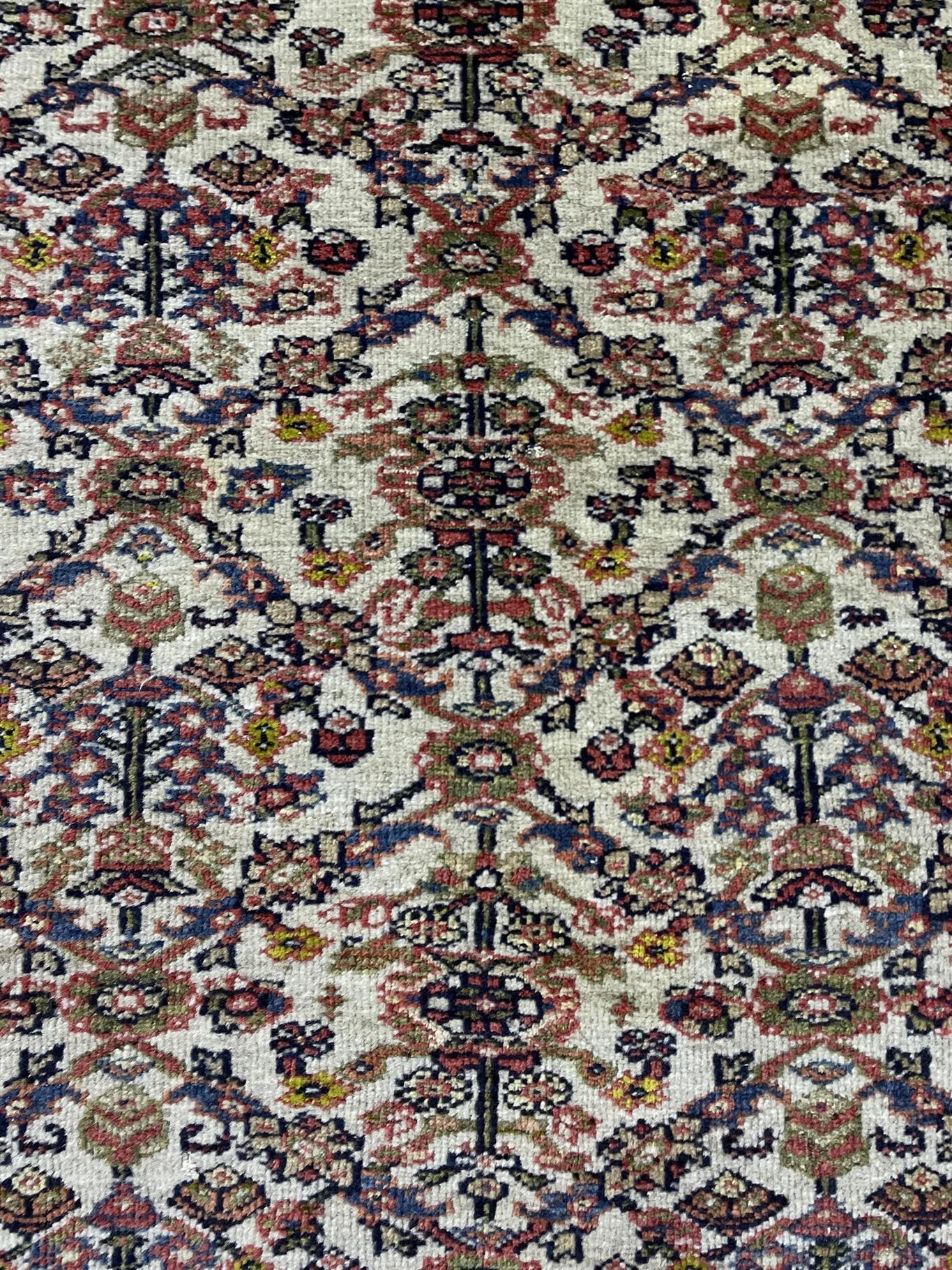 AORug#16370 size. 8' 09" x 10' 00"