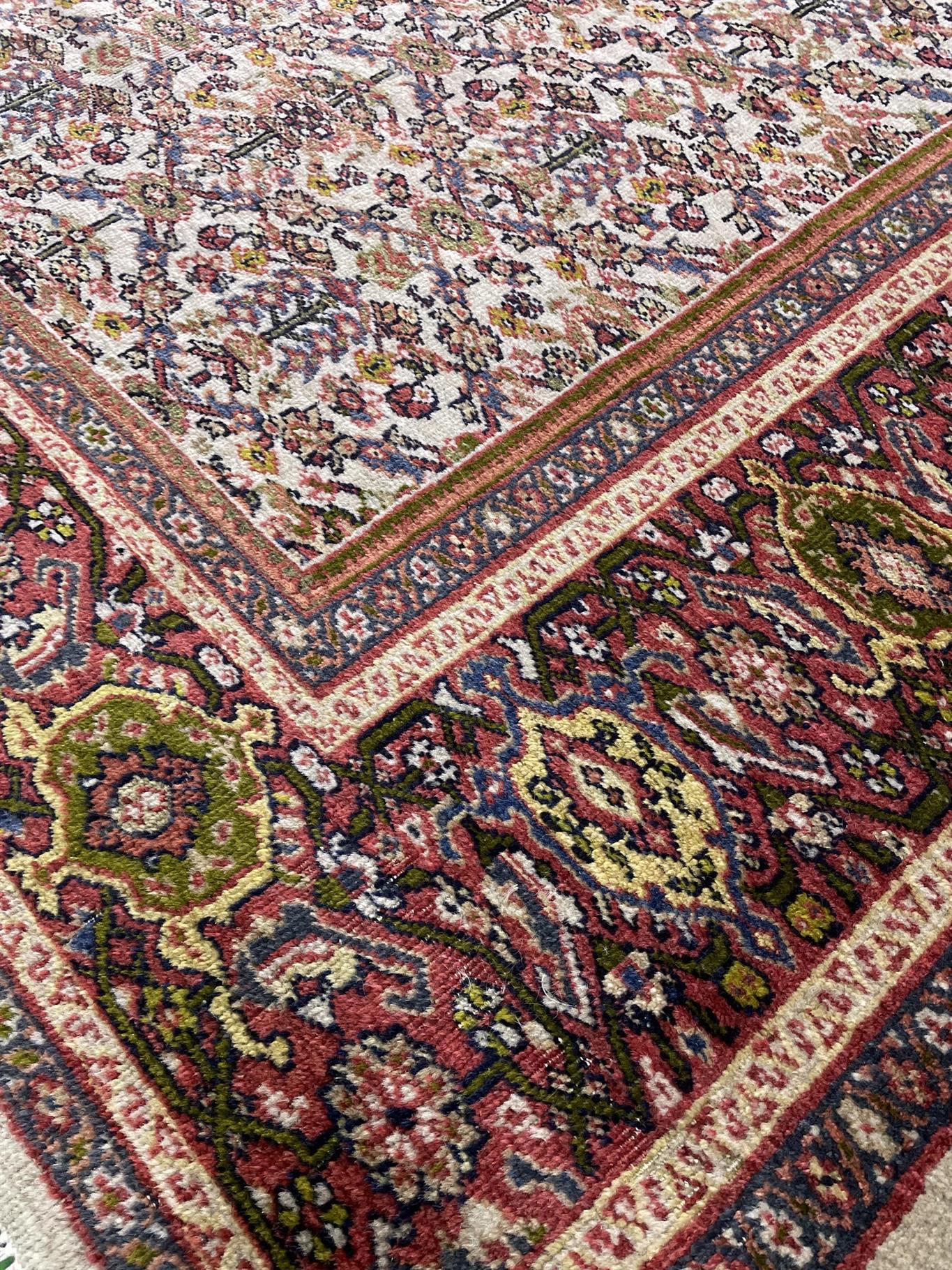 AORug#16370 size. 8' 09" x 10' 00"