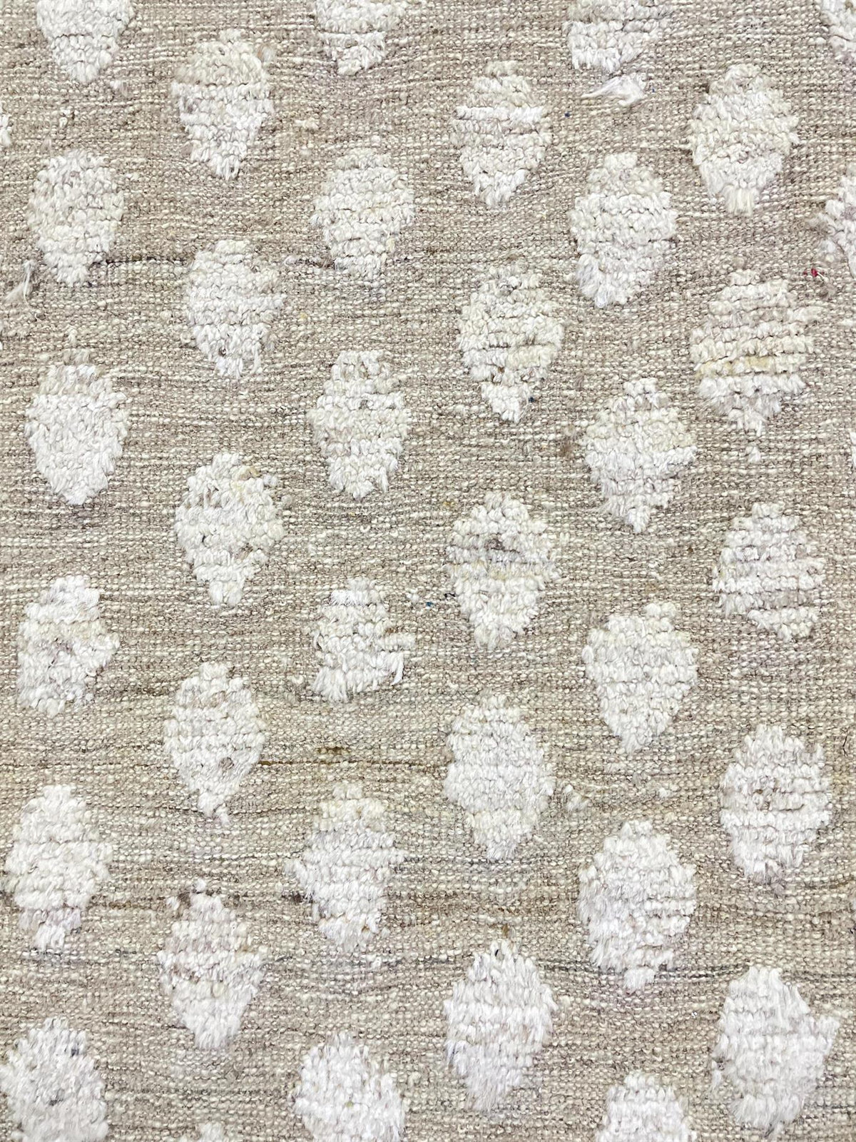 AORug#16153 size. 9'0" X 12'0"