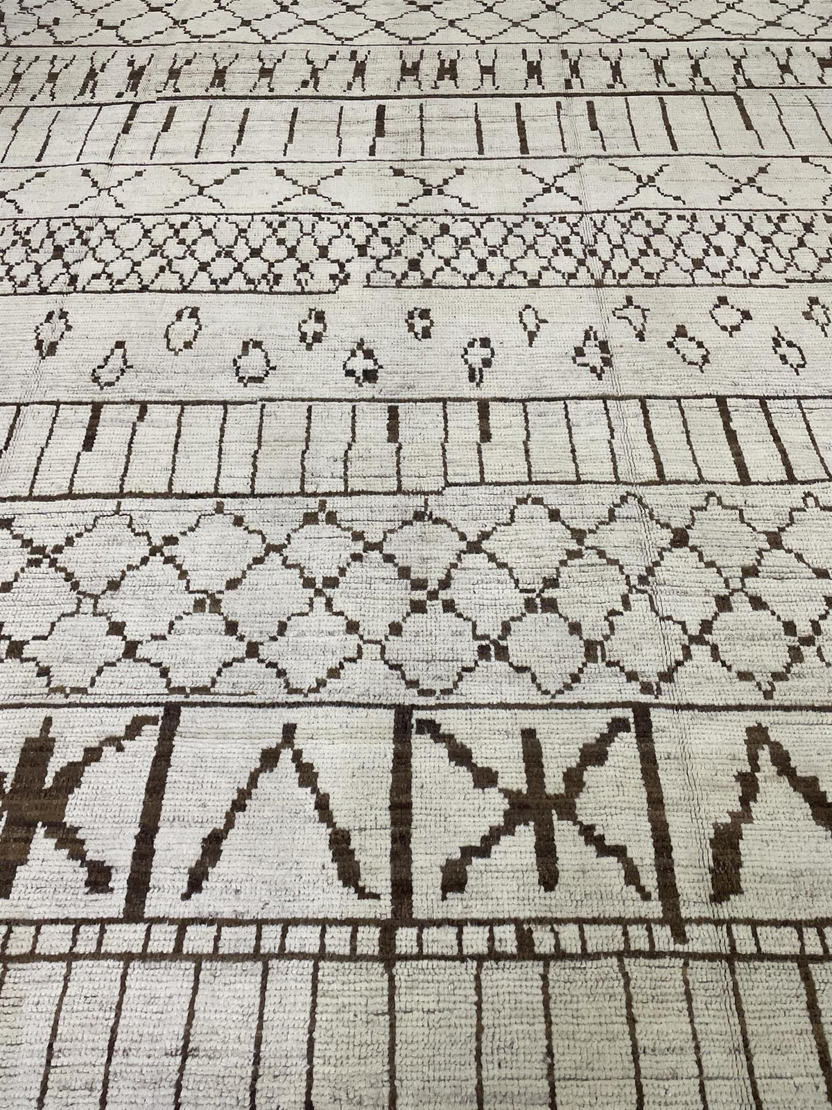 AORug#16435 size. 9' 02" x 12' 02"