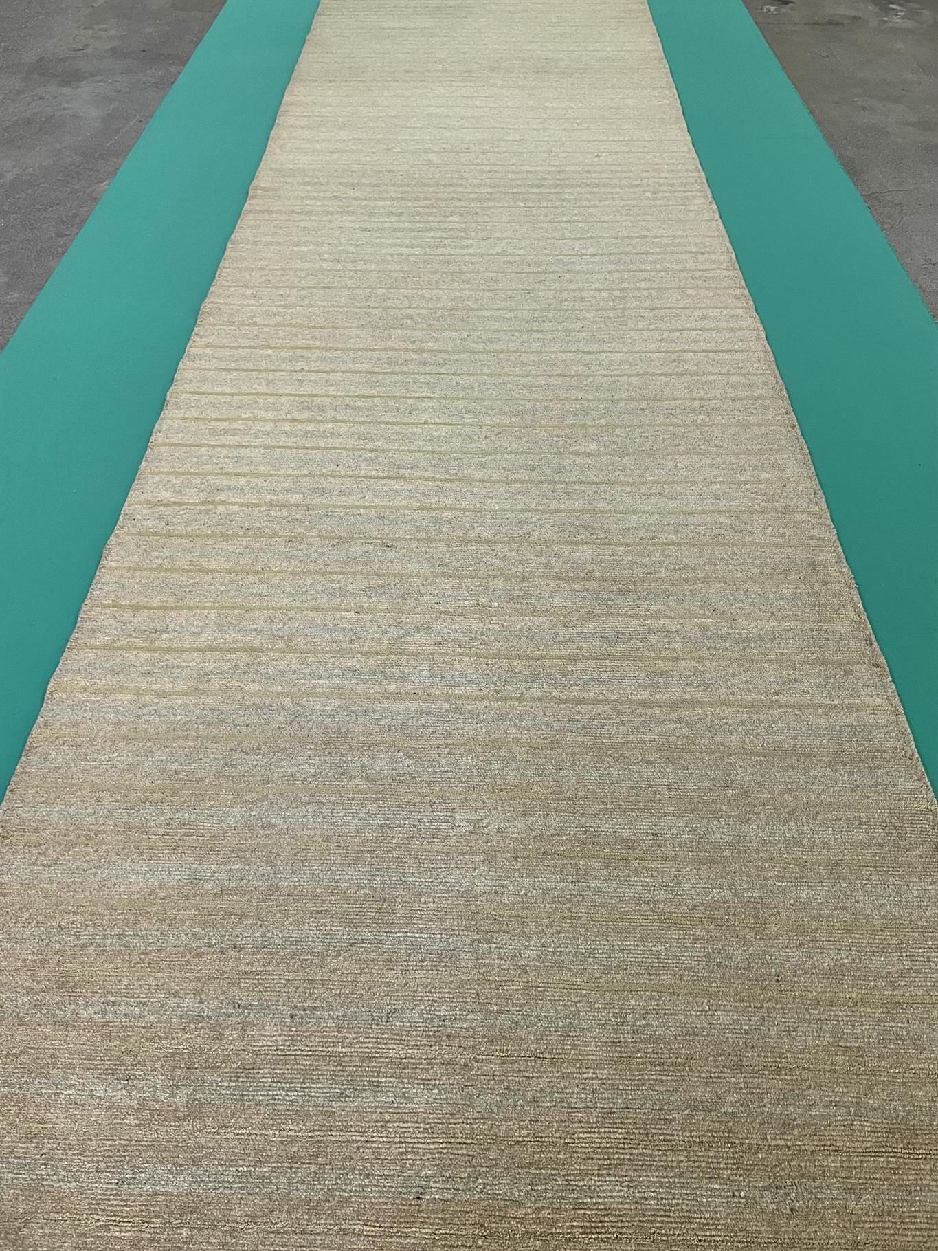 AORug#15822 size. 3' 01" x 11' 03"