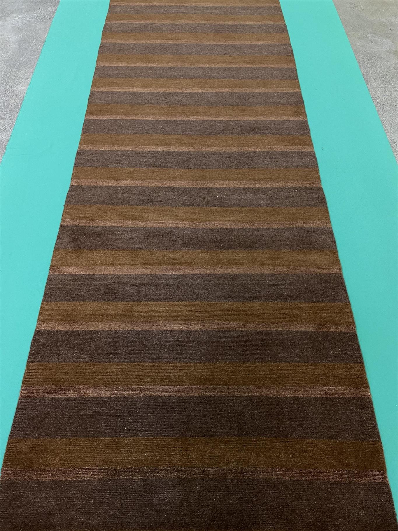 AORug#15845 size. 3' 01" x 9' 09"