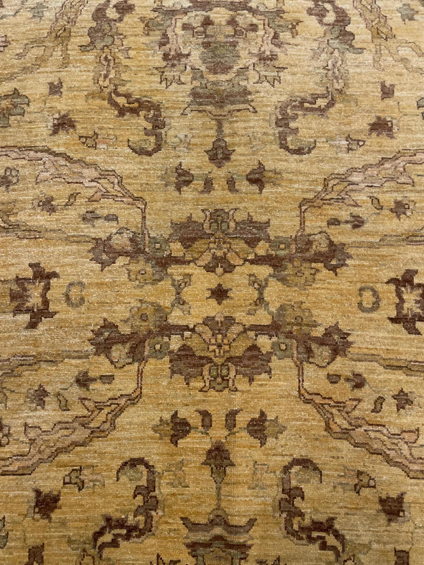 AORug#2309 size. 8' 08" x 11' 10"