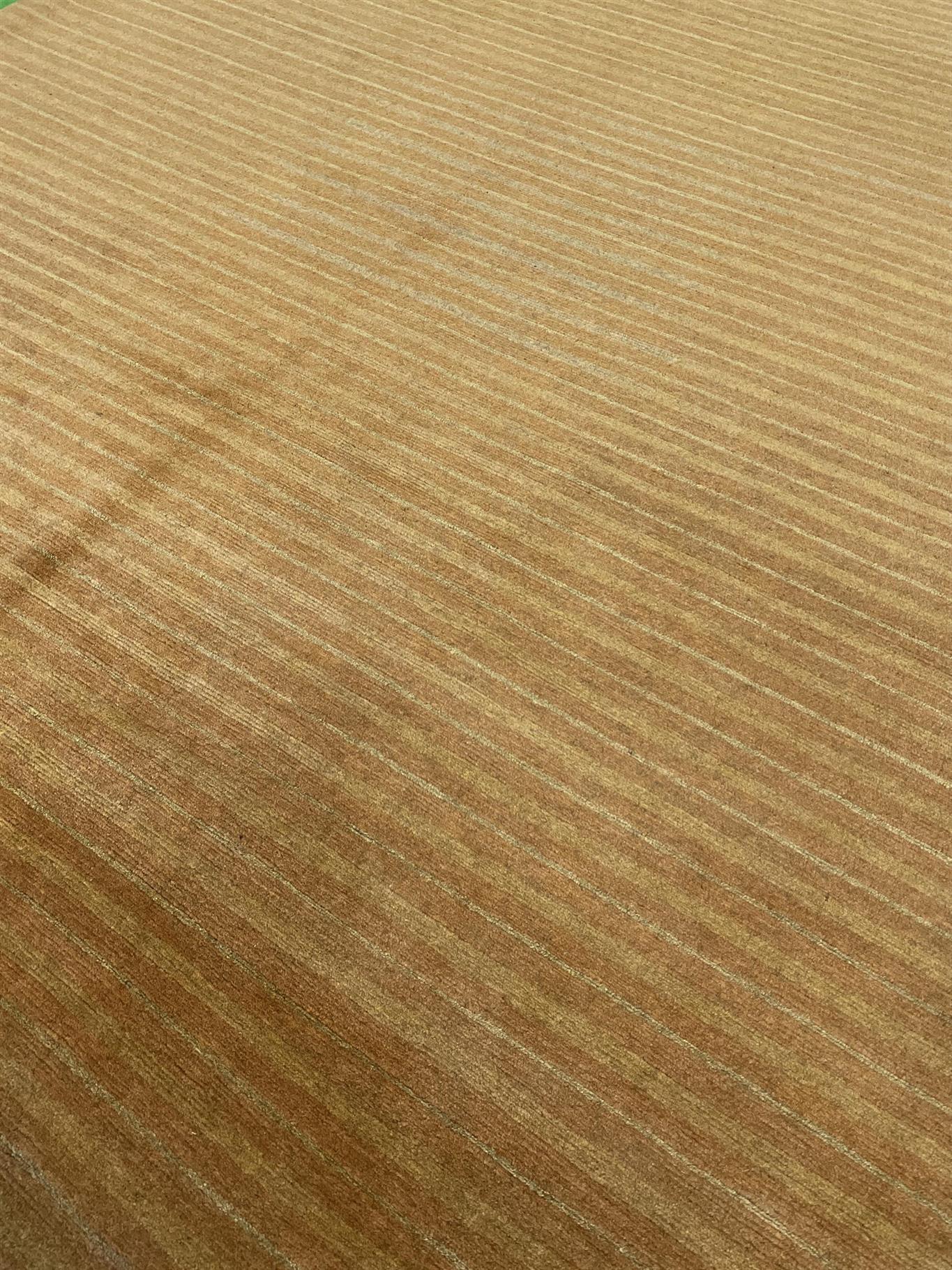 AORug#15628 size. 6' 10" x 9' 10"