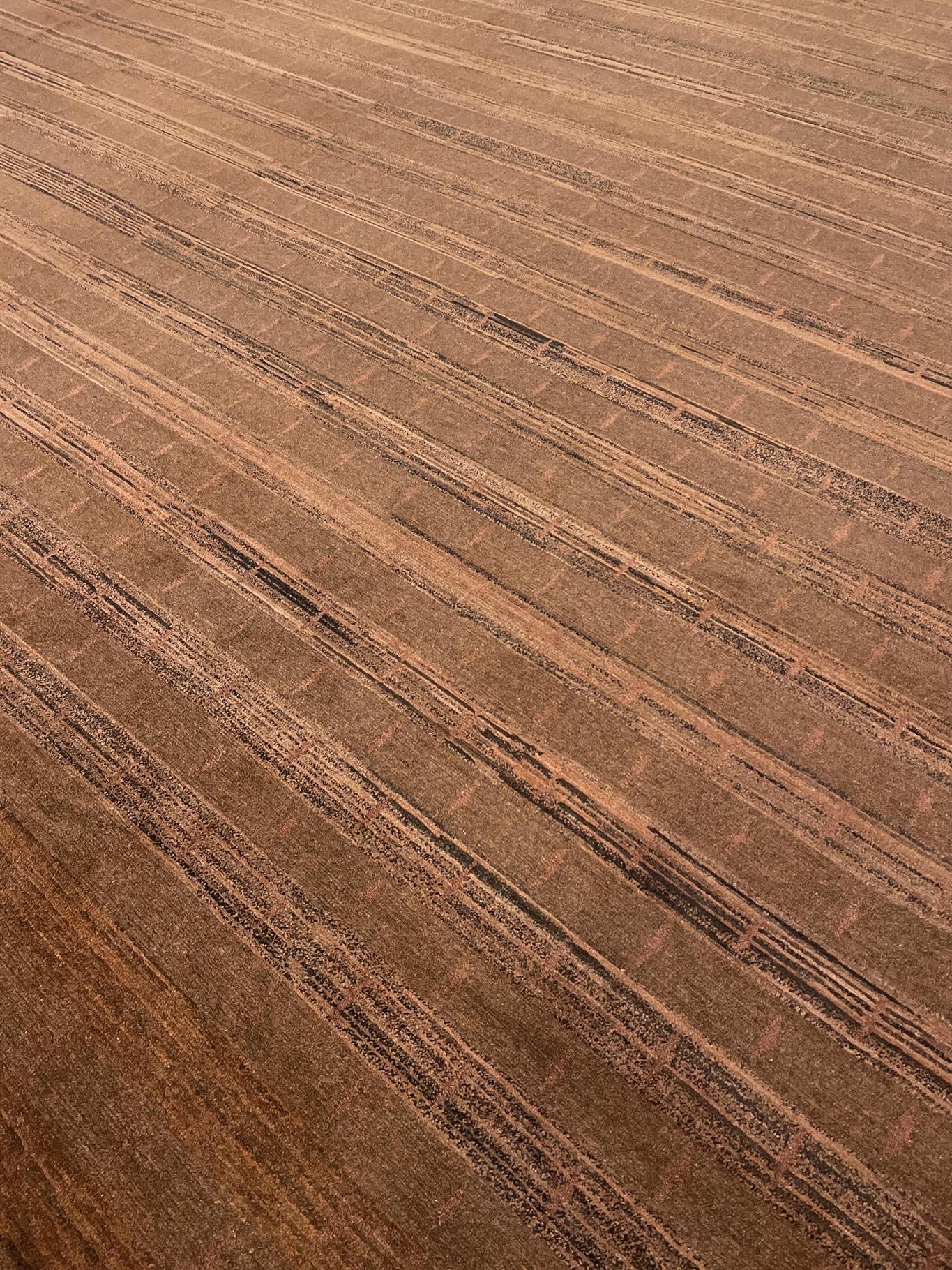 AORug#15969 size. 12' 00" x 12' 05"