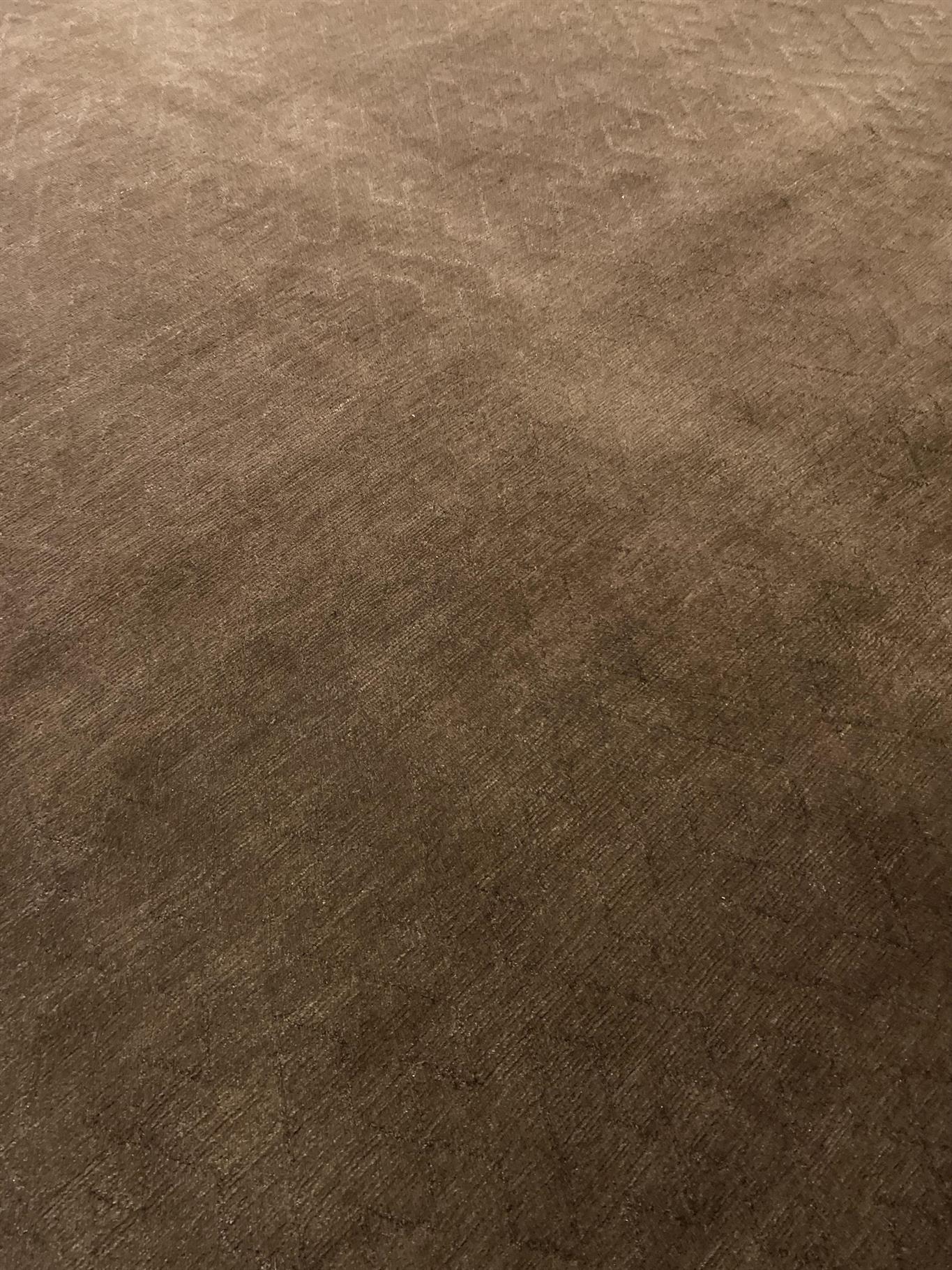 AORug#15869 size. 9' 05" x 12' 02"