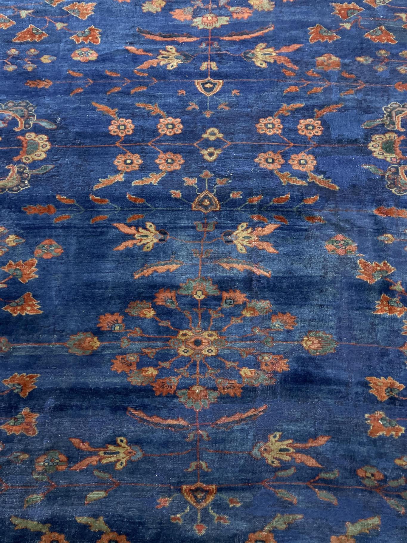 AORug#14485 size. 8' 08" x 11' 00"
