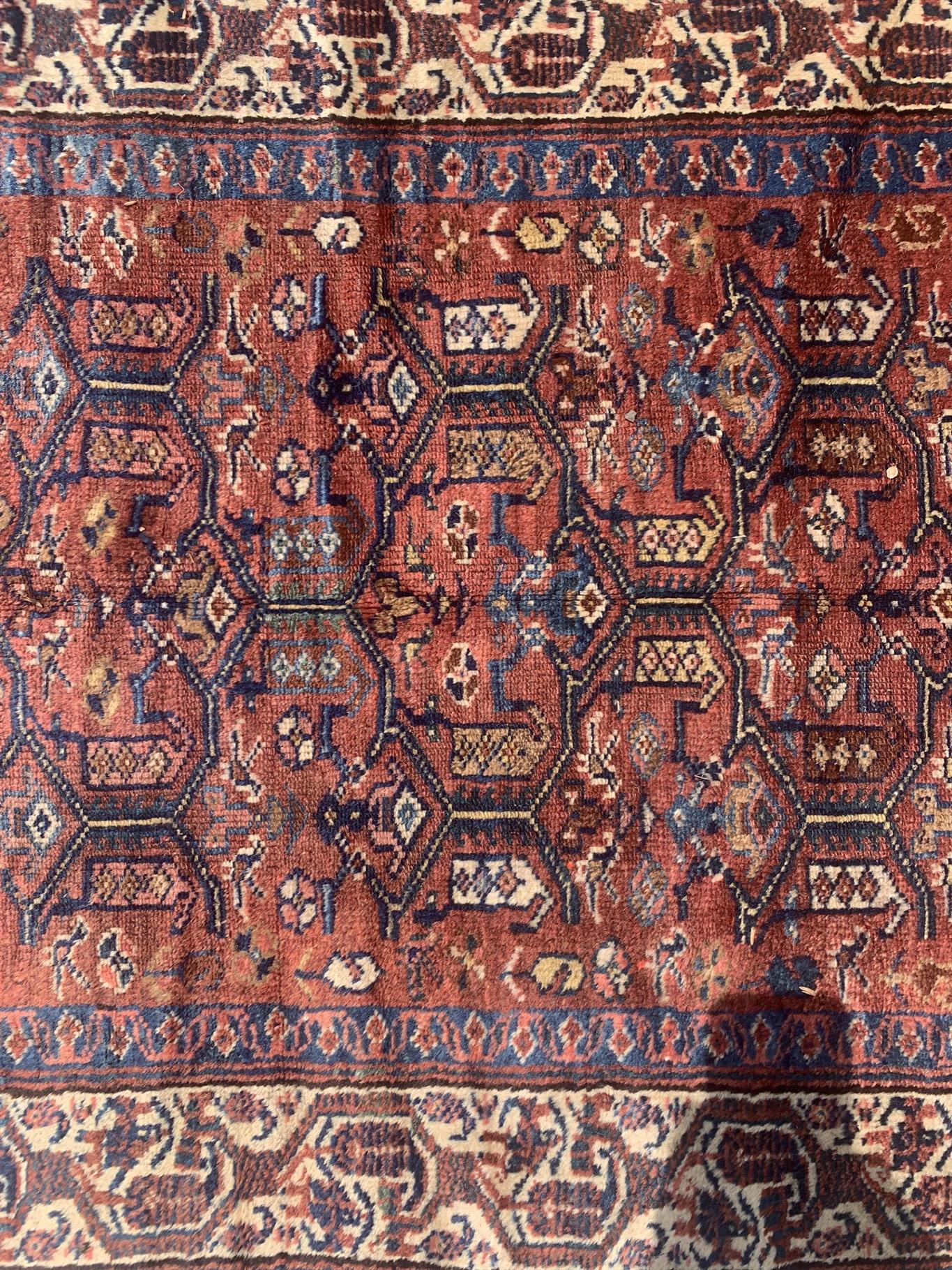 AORug#3951 size. 3' 05" x 6' 02"