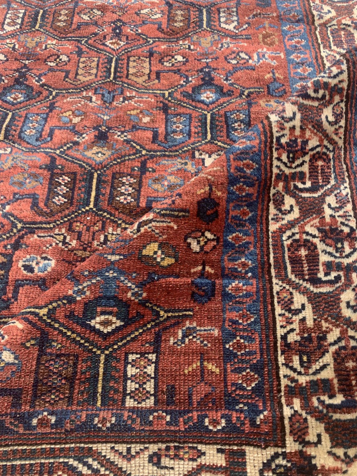 AORug#3951 size. 3' 05" x 6' 02"