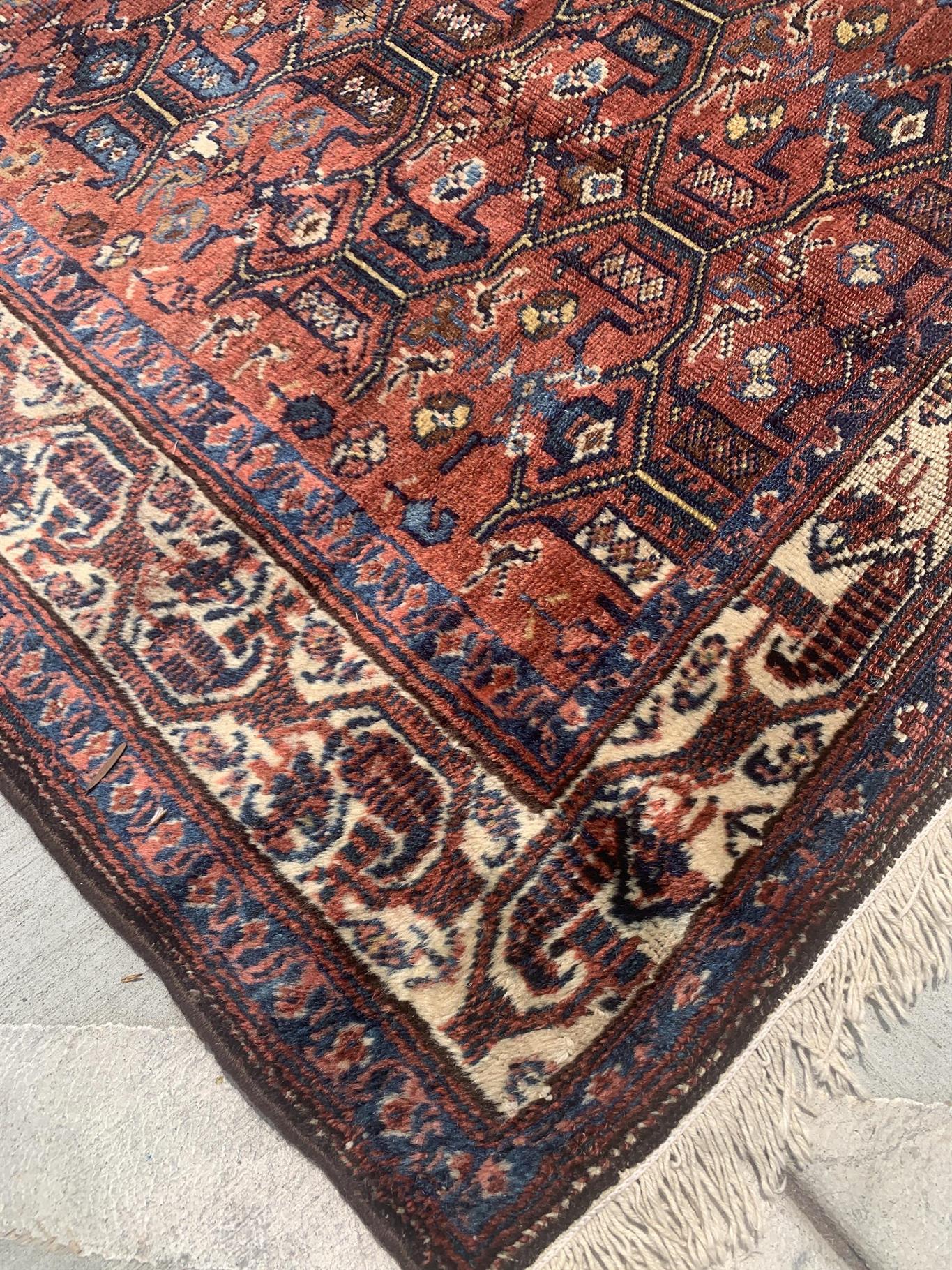 AORug#3951 size. 3' 05" x 6' 02"