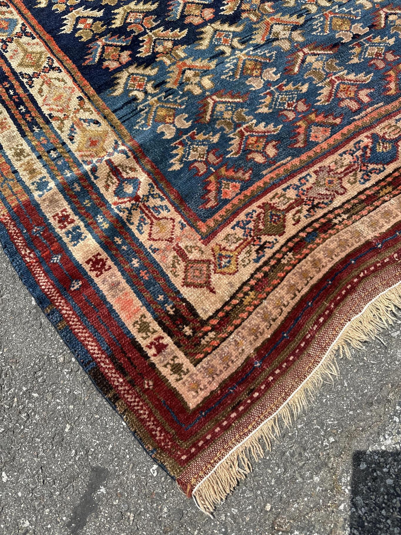 AORug#3279 size. 4' 05" x 8' 01"