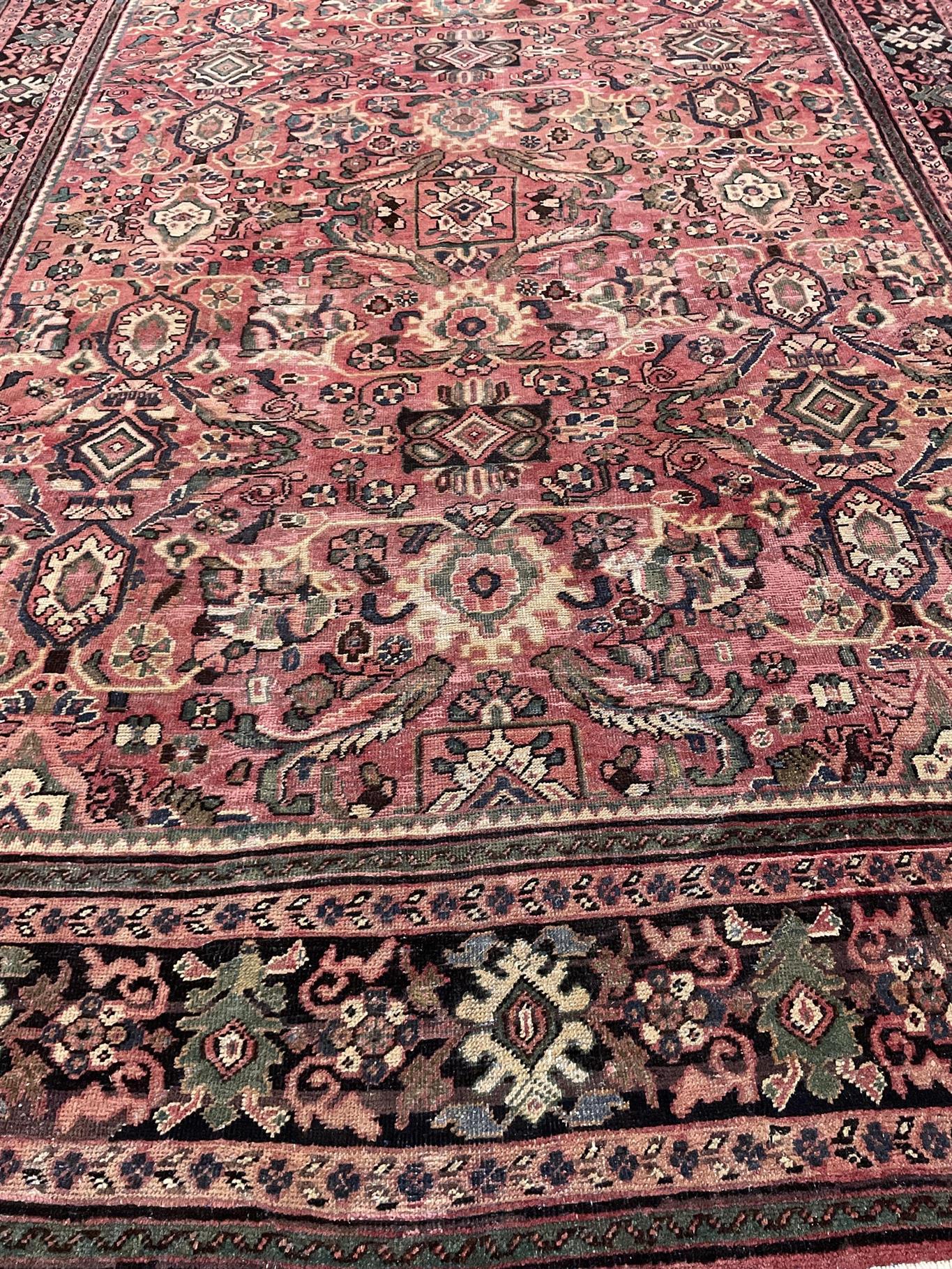AORug#17842 size. 9' 09" x 13' 00"