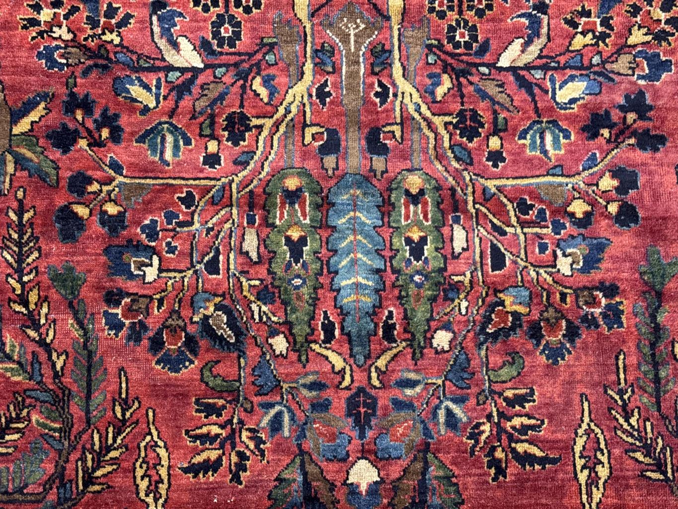 AORug#4647 size. 8' 07" x 12' 00"