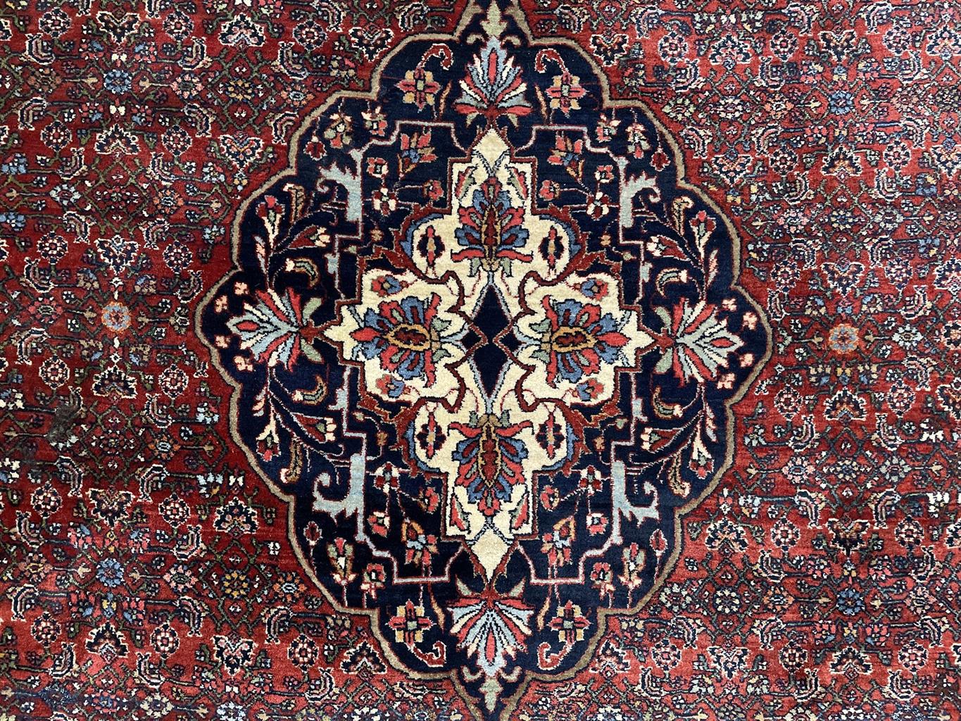 AORug#14738 size. 8' 07" x 11' 11"