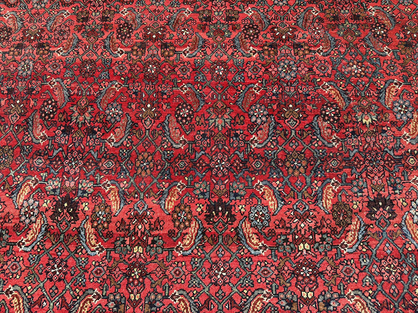 AORug#13073 size. 14' 00" x 23' 02"