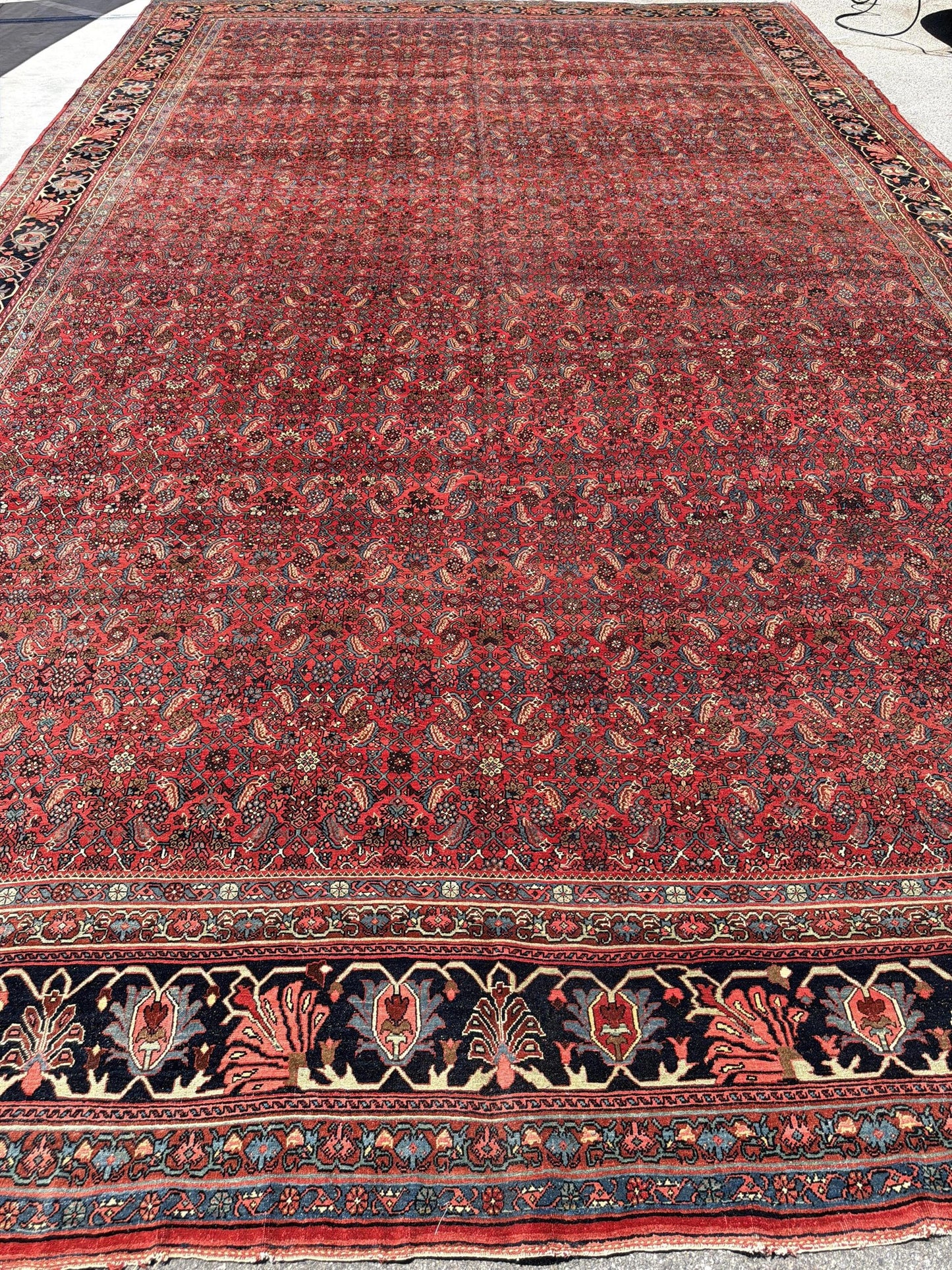 AORug#13073 size. 14' 00" x 23' 02"
