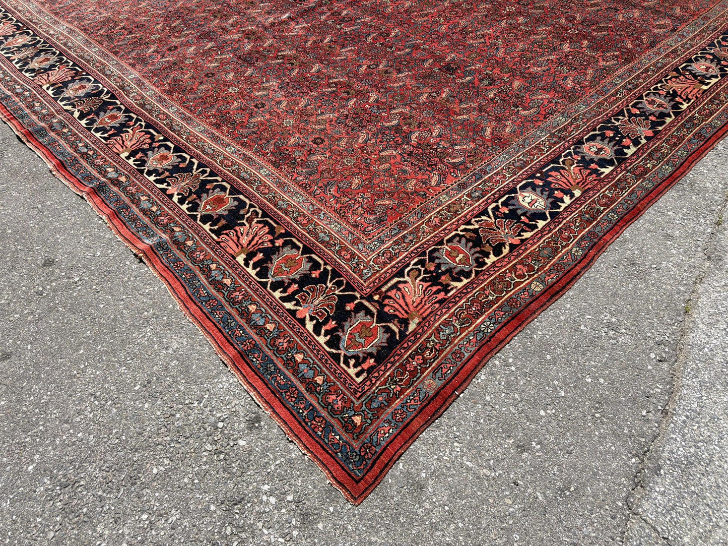 AORug#13073 size. 14' 00" x 23' 02"