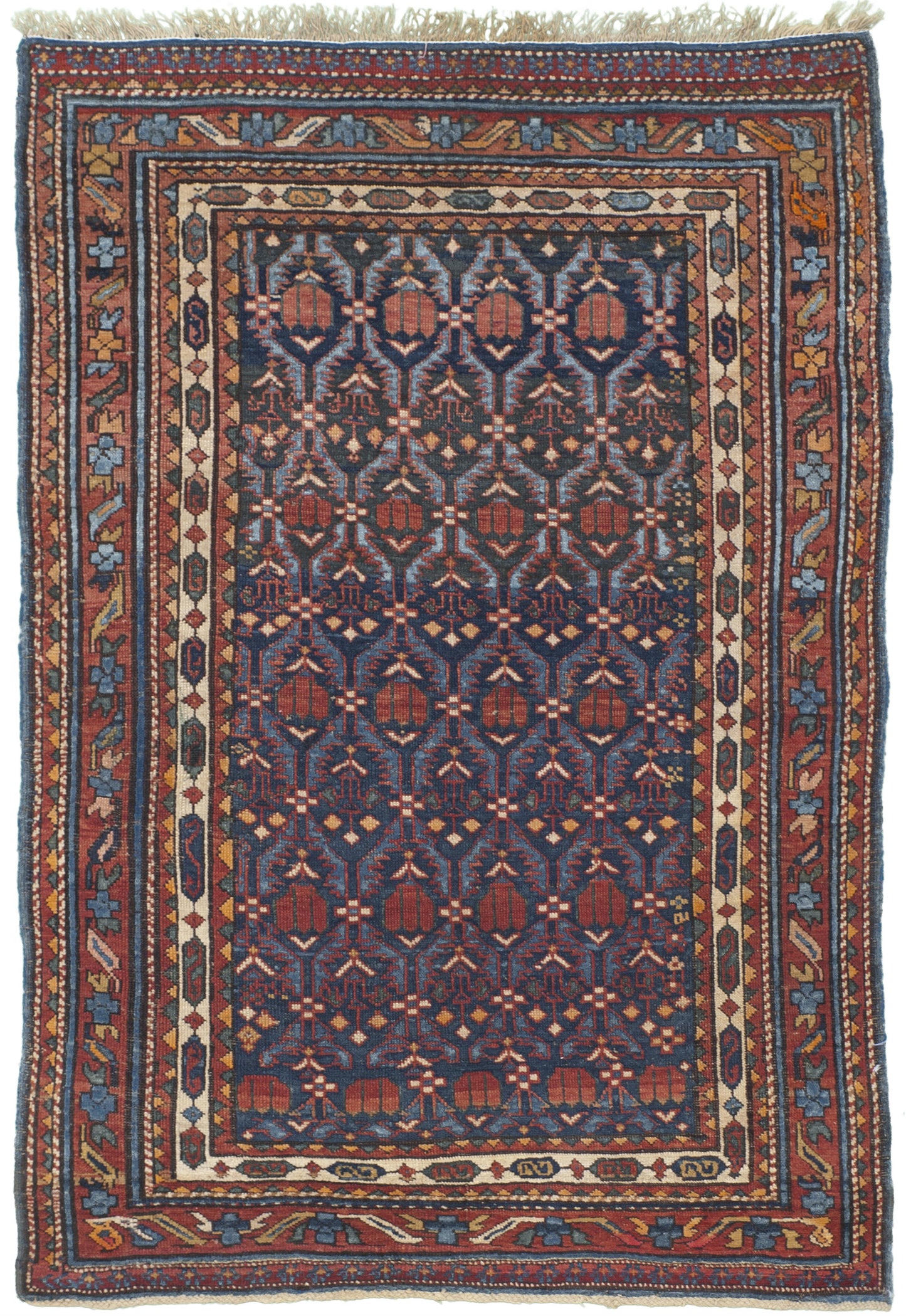 AORug#9841 size. 3' 03" x 4' 10"
