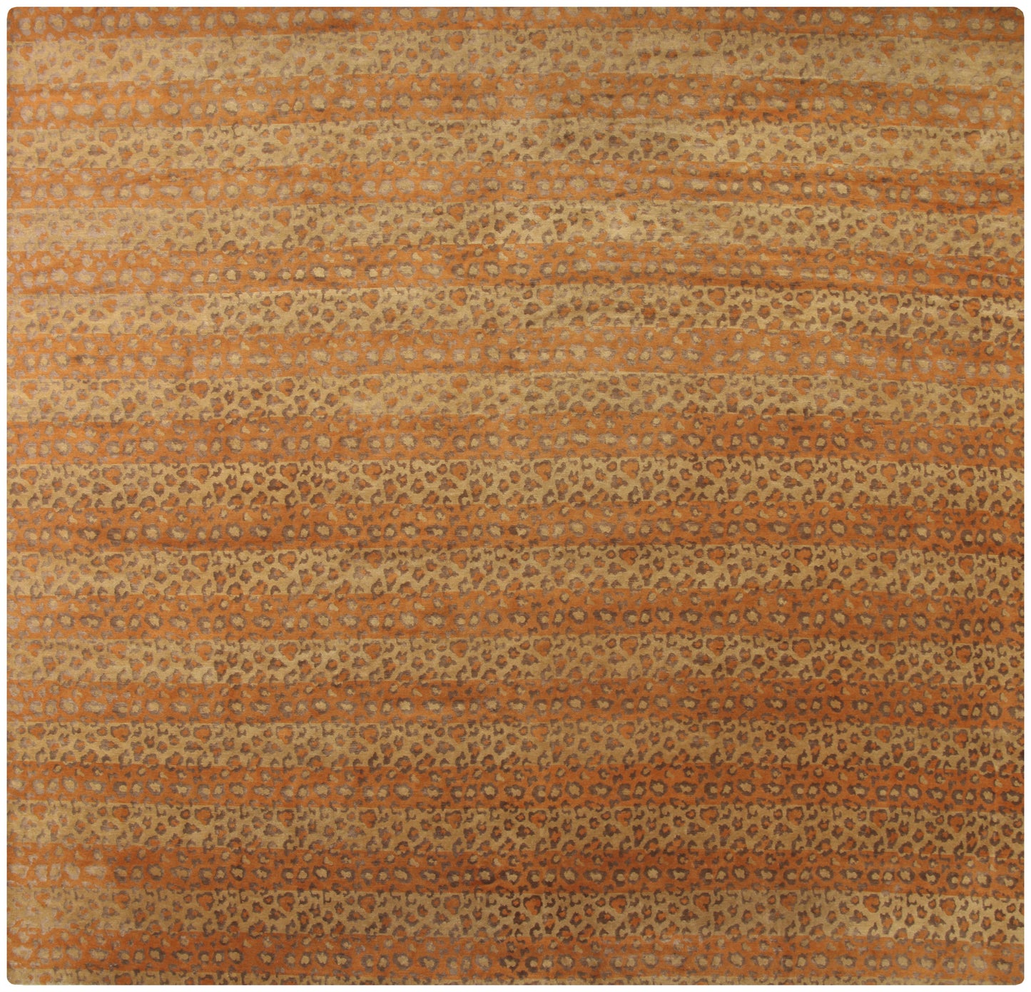 AORug#15974 size. 13' 09" x 14' 09"