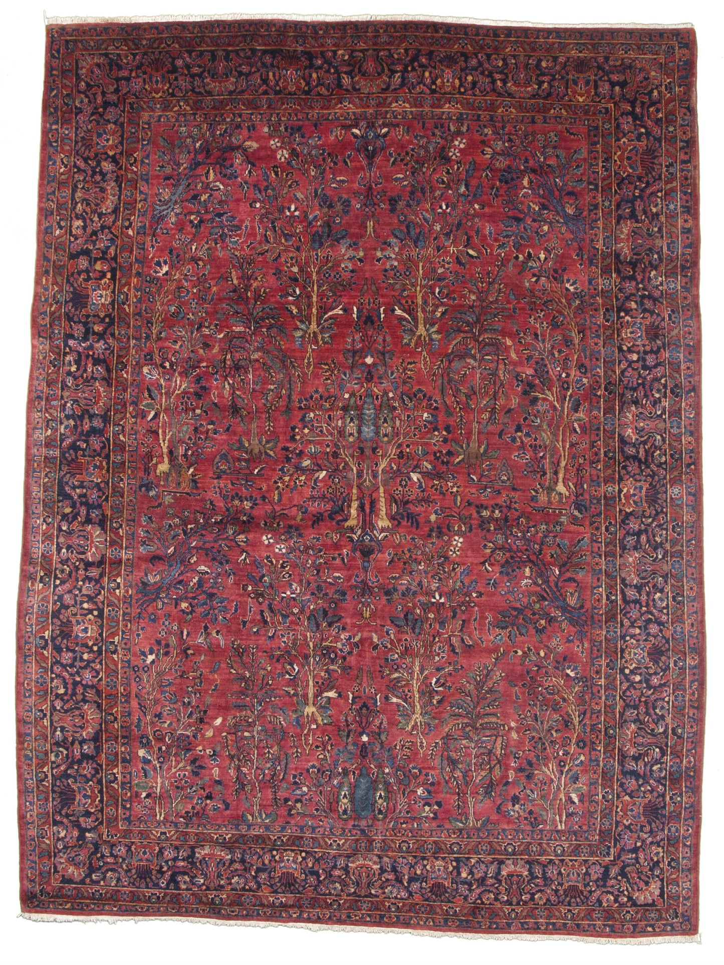 AORug#4647 size. 8' 07" x 12' 00"