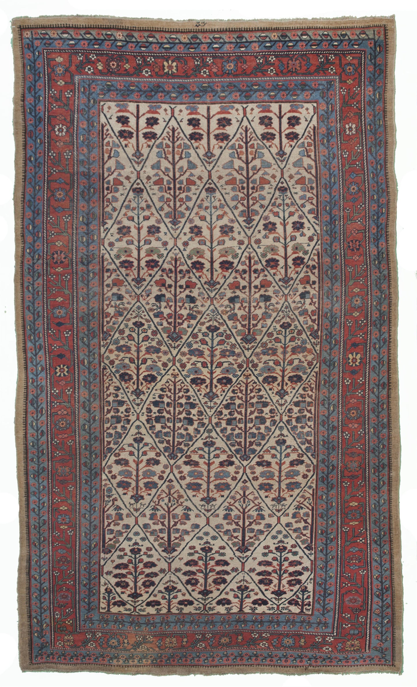 AORug#10220 size. 7' 11" x 13' 04"