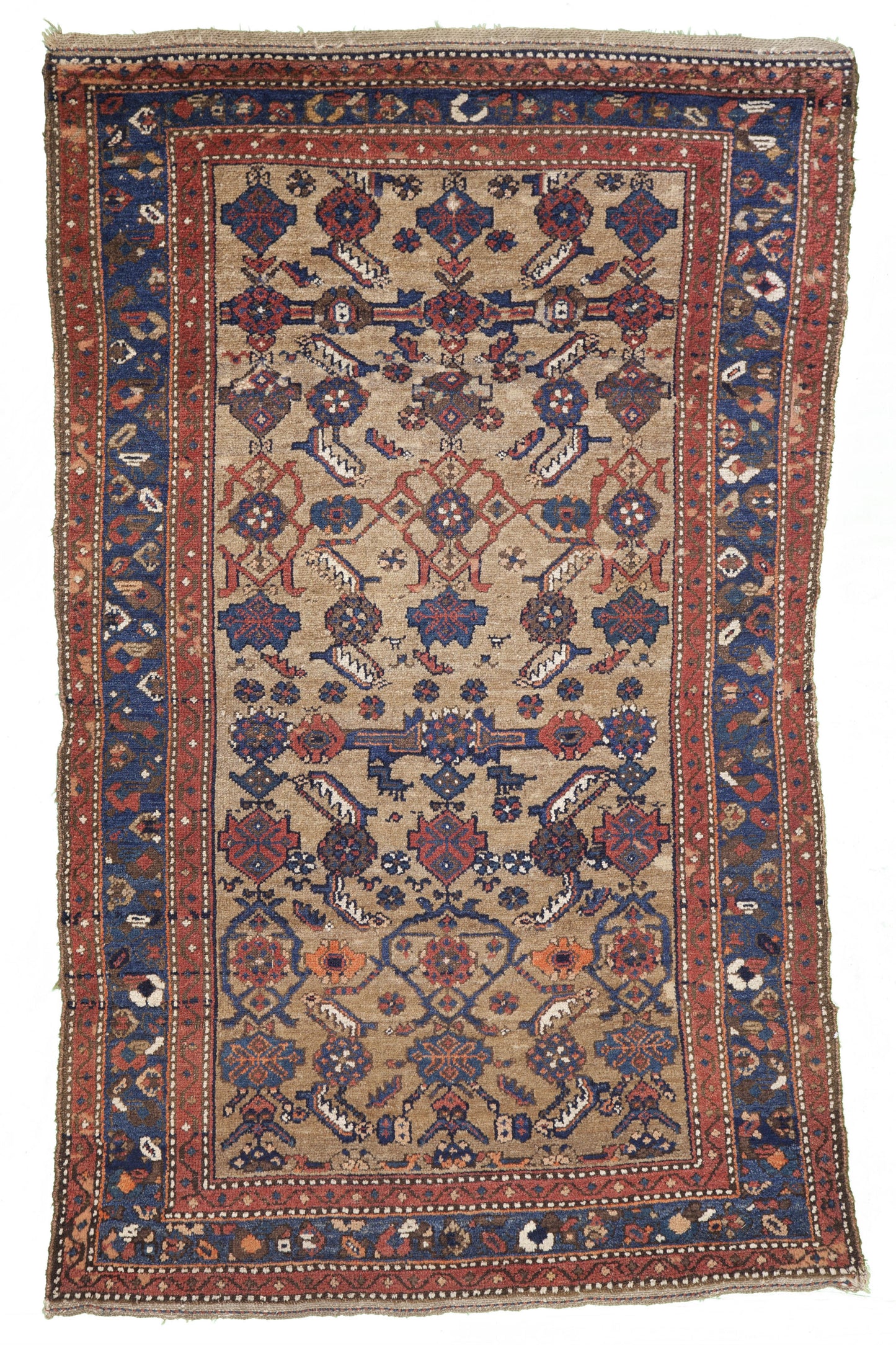AORug#9098 size. 6' 01" x 4' 00"