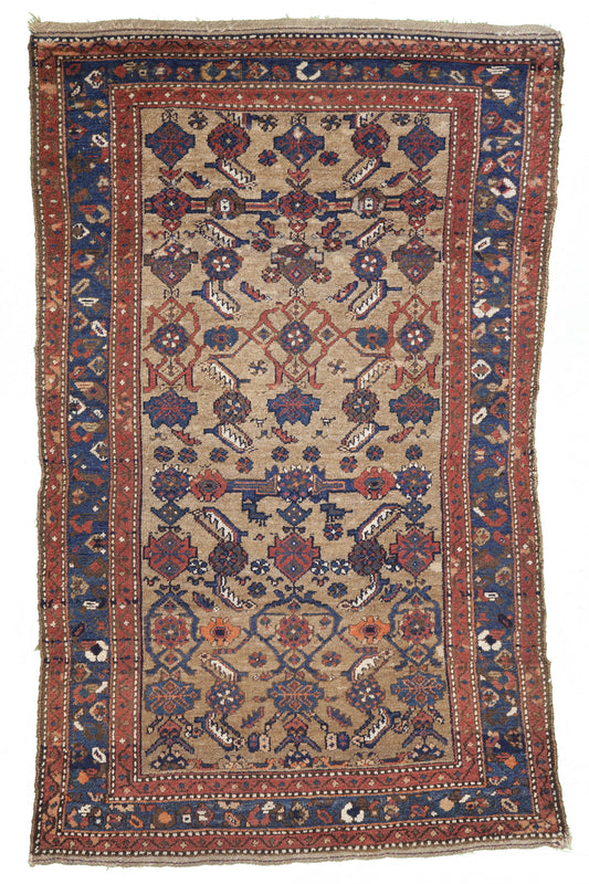 AORug#9098 size. 6' 01" x 4' 00"