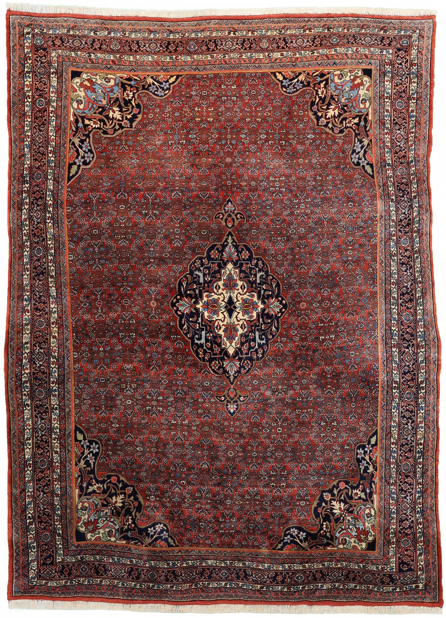 AORug#14738 size. 8' 07" x 11' 11"