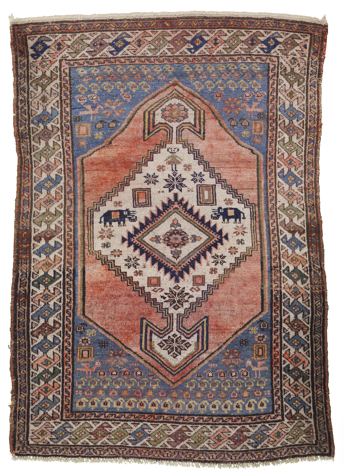AORug#9077 size. 3' 03" x 4' 05"
