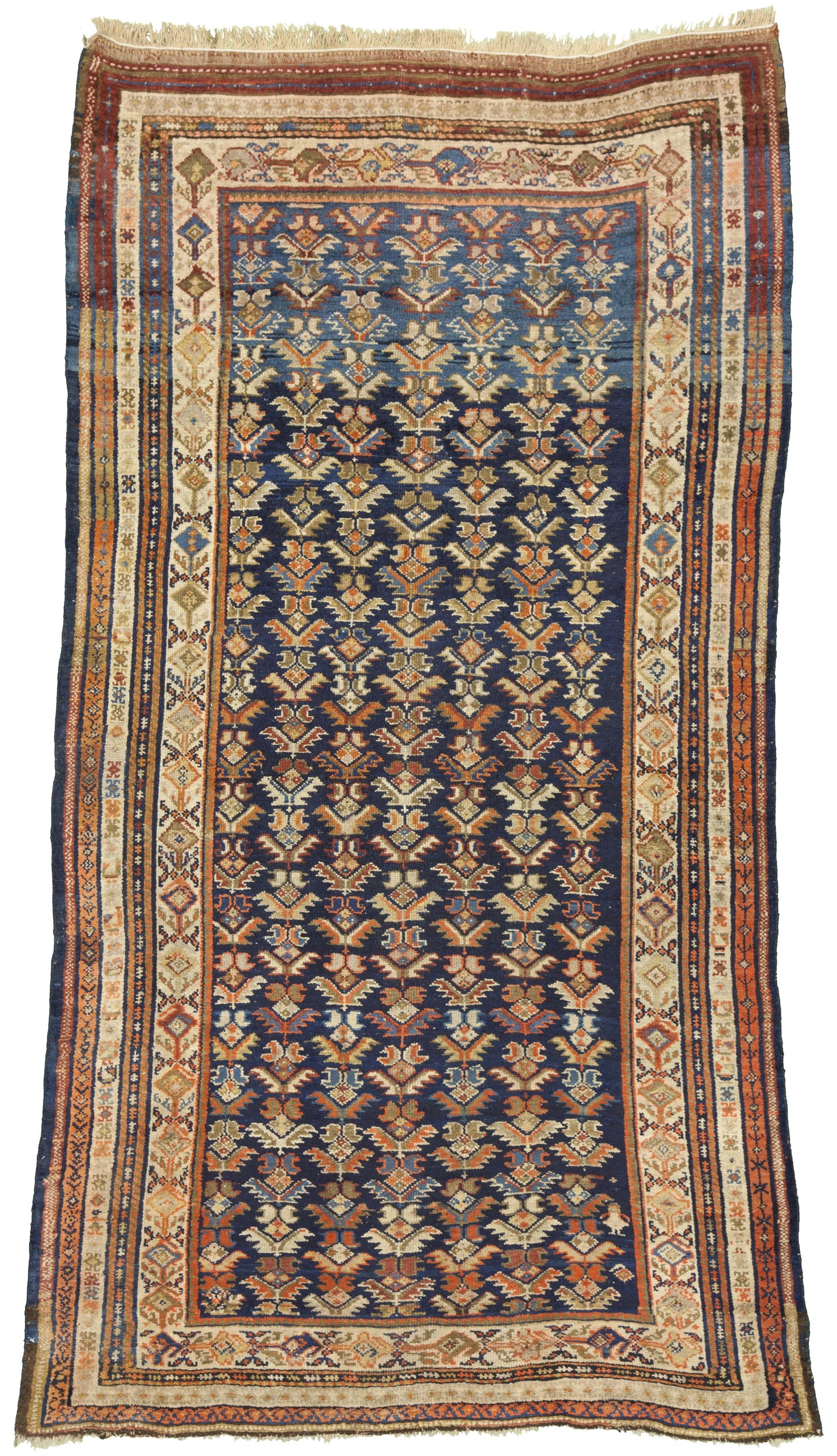 AORug#3279 size. 4' 05" x 8' 01"