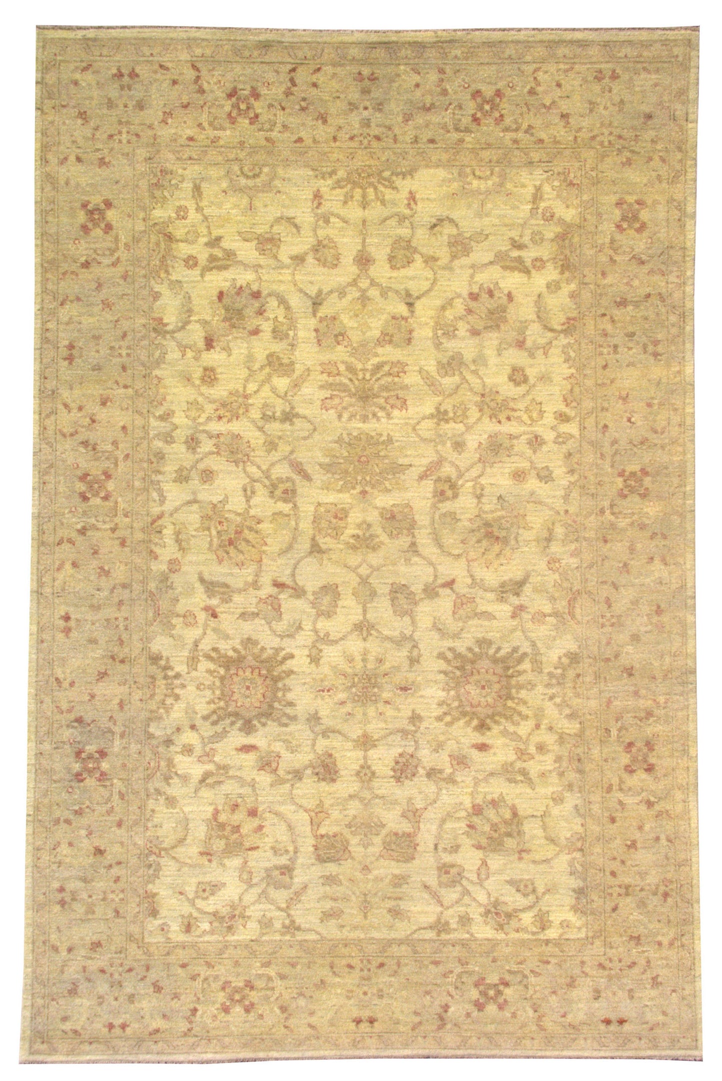 AORug#2313 size. 5' 10" x 8' 11"