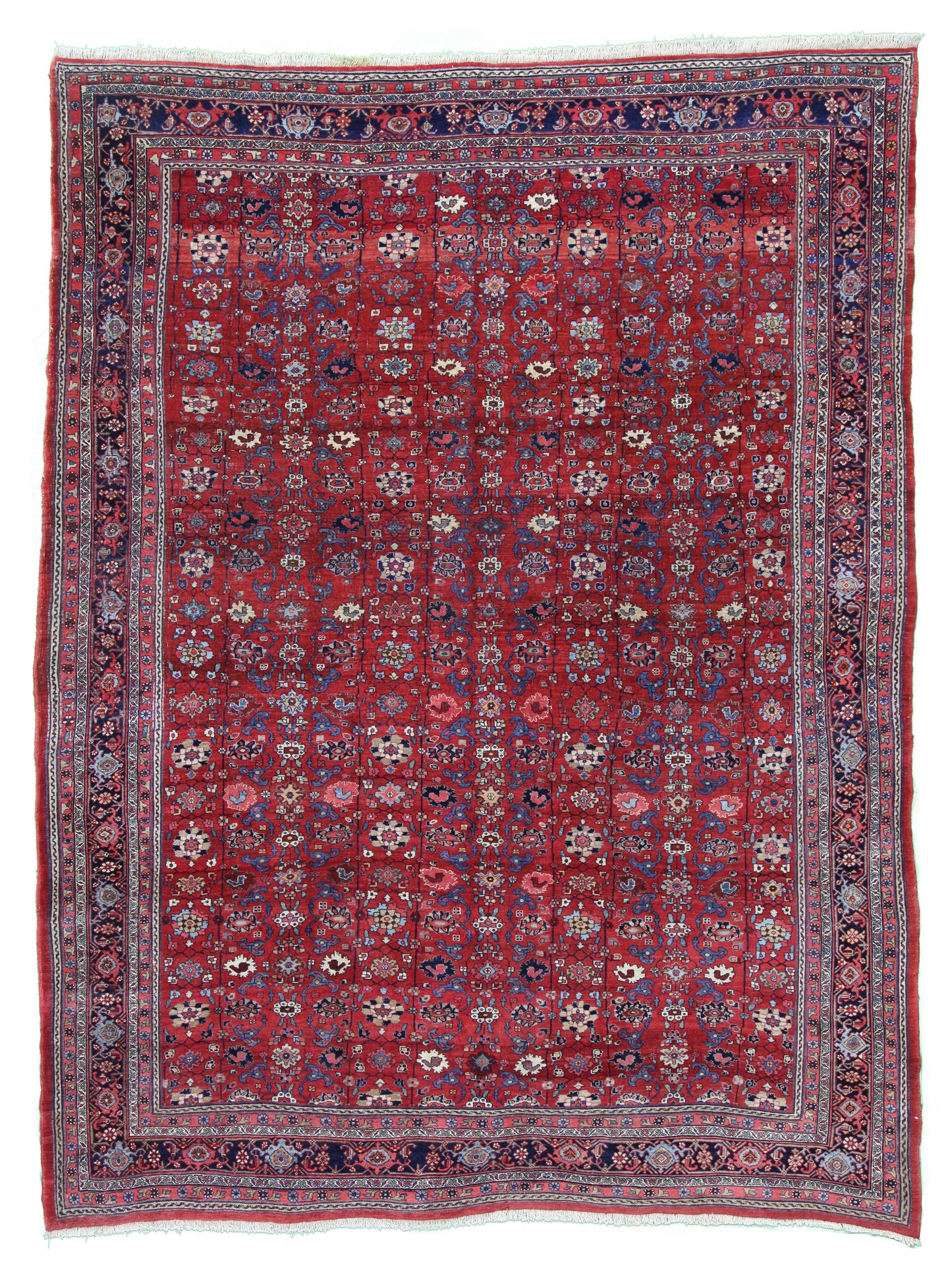 AORug#13931 size. 8' 11" x 11' 10"