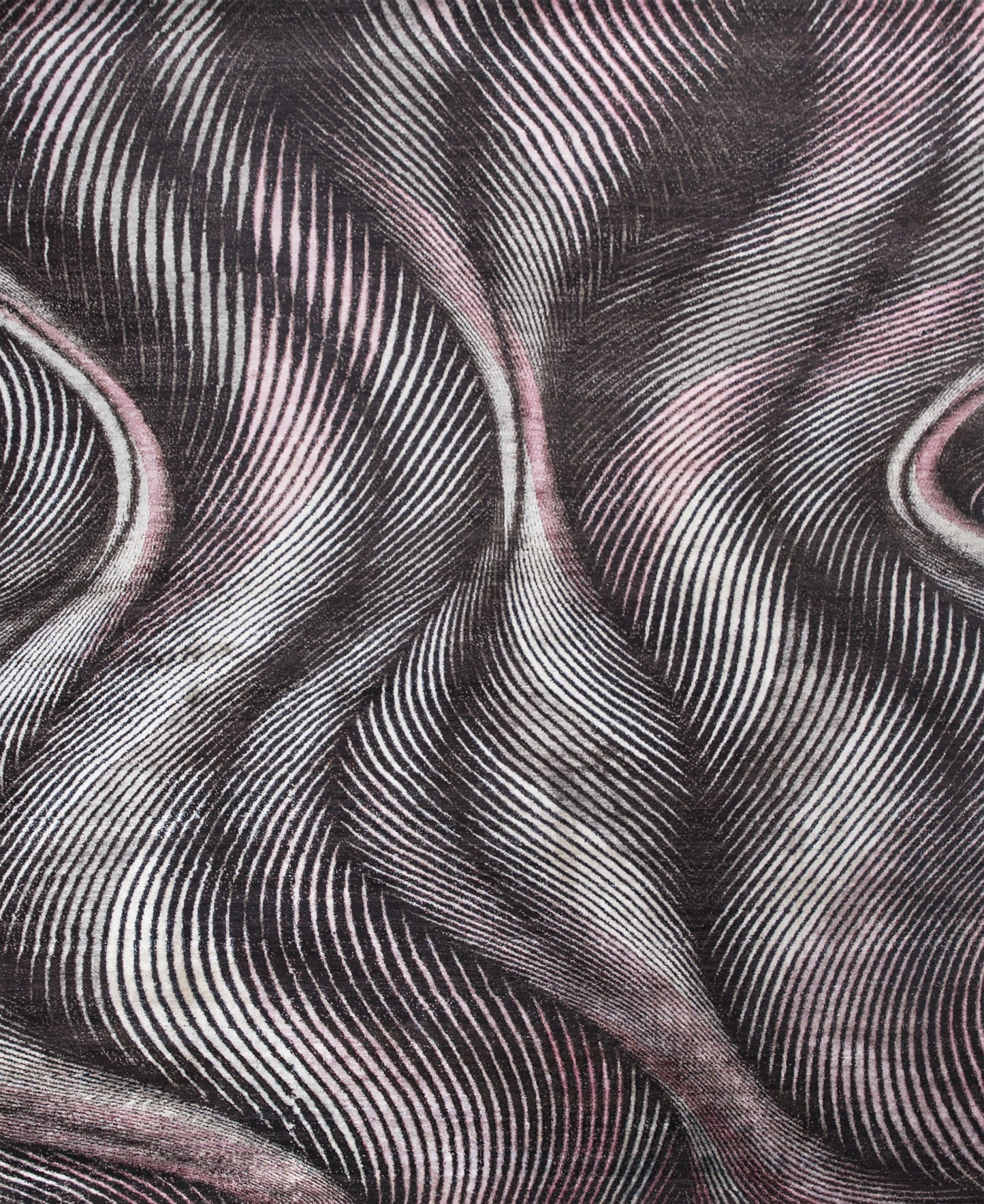 AORug#11895 size. 8' 01" x 10' 04"