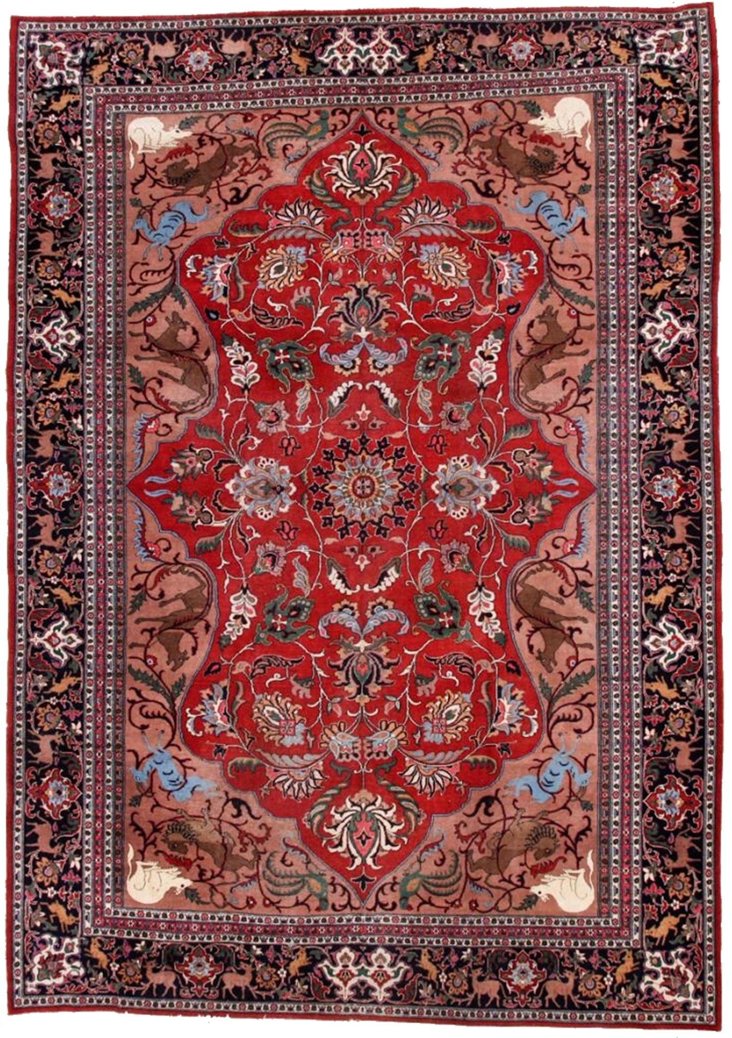 AORug#9137 size. 8' 01" x 11' 06"