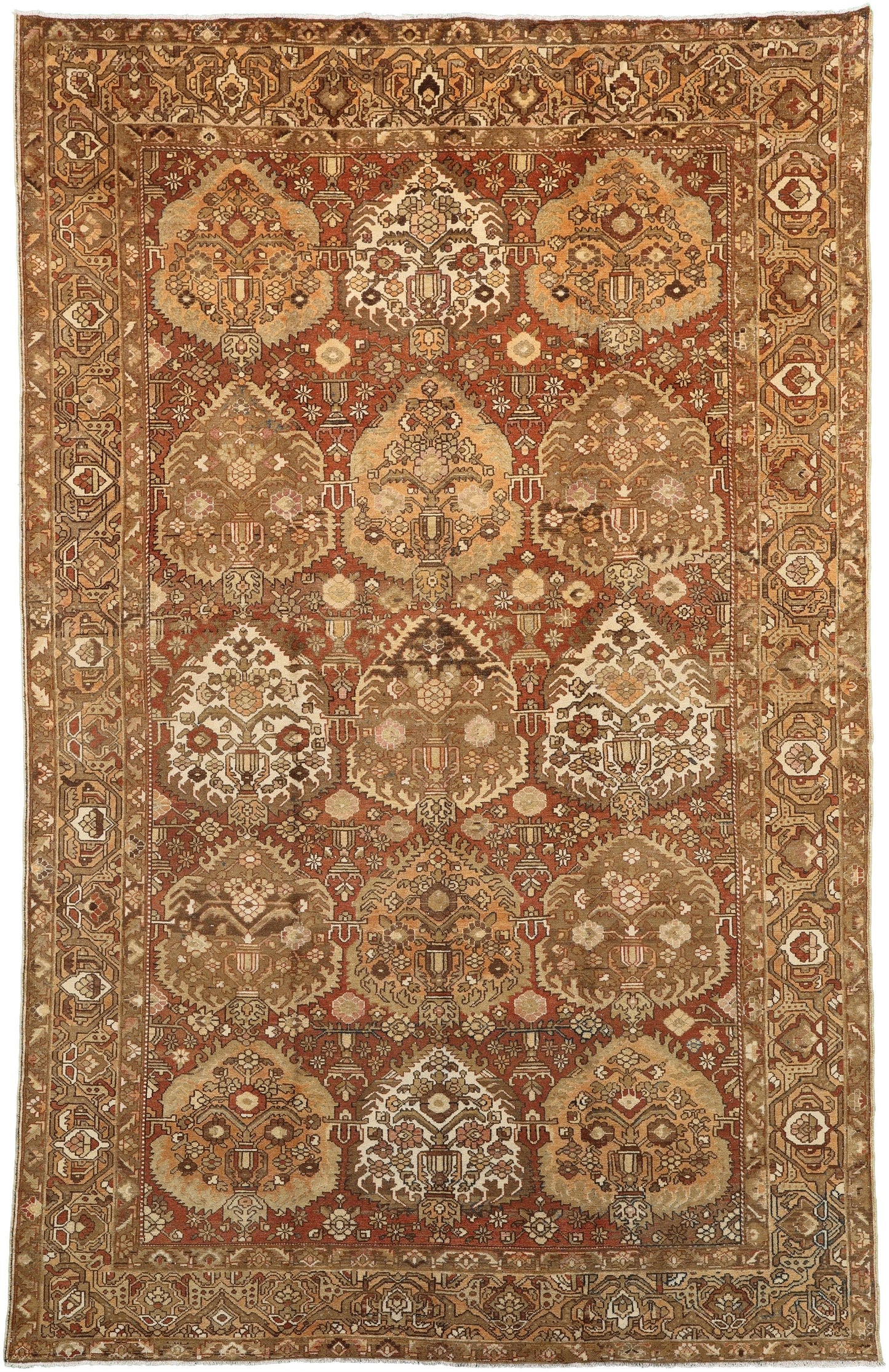 AORug#18825 size. 9' 06" x 15' 01"
